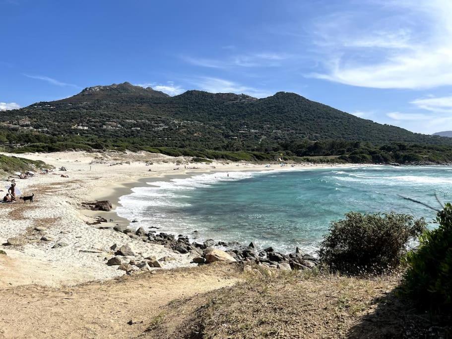 Grand T2 De Standing L'Ile-Rousse (Corsica)